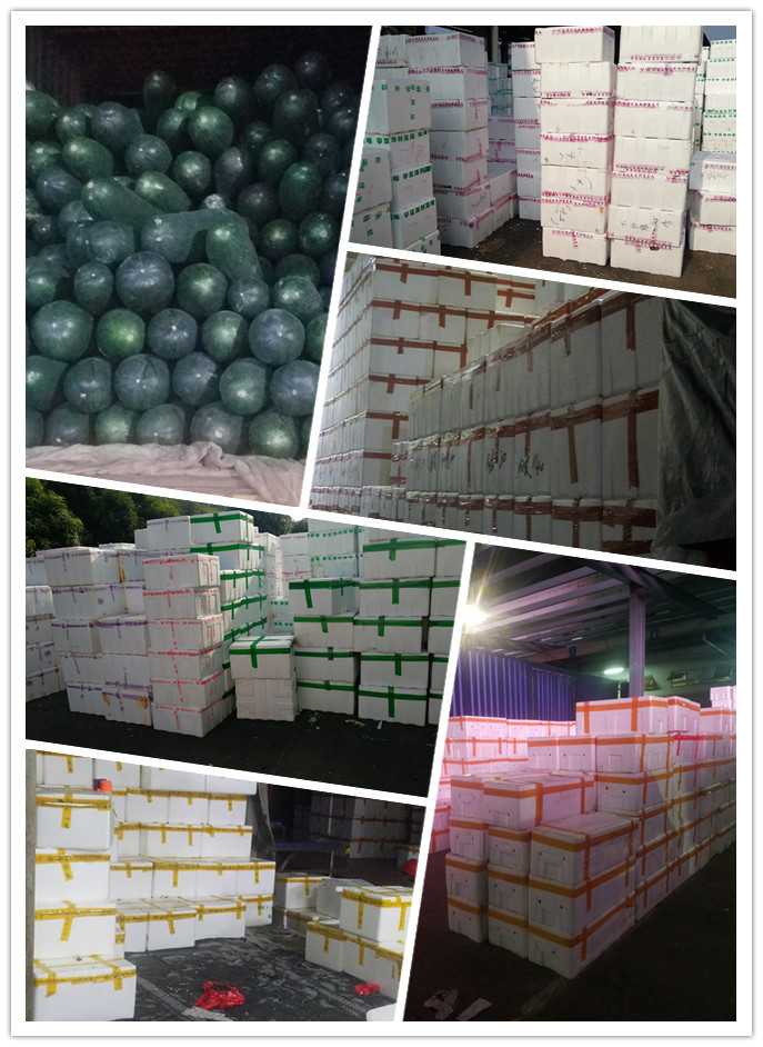 欧宝OB(中国集团)有限公司官网