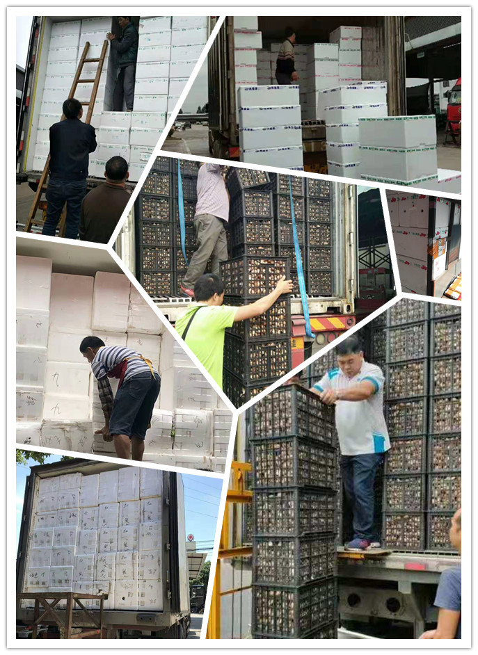 欧宝OB(中国集团)有限公司官网