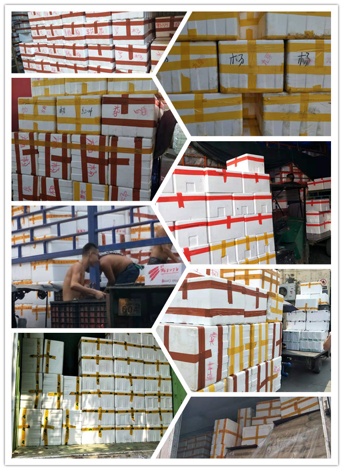 欧宝OB(中国集团)有限公司官网