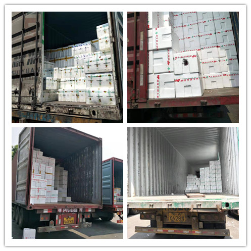 欧宝OB(中国集团)有限公司官网