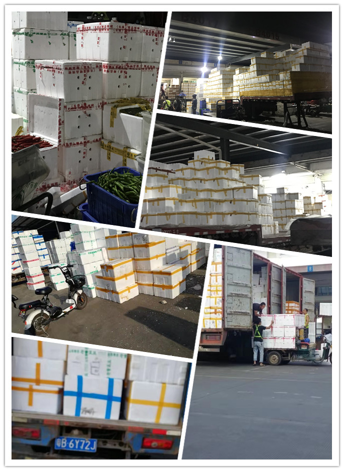 欧宝OB(中国集团)有限公司官网