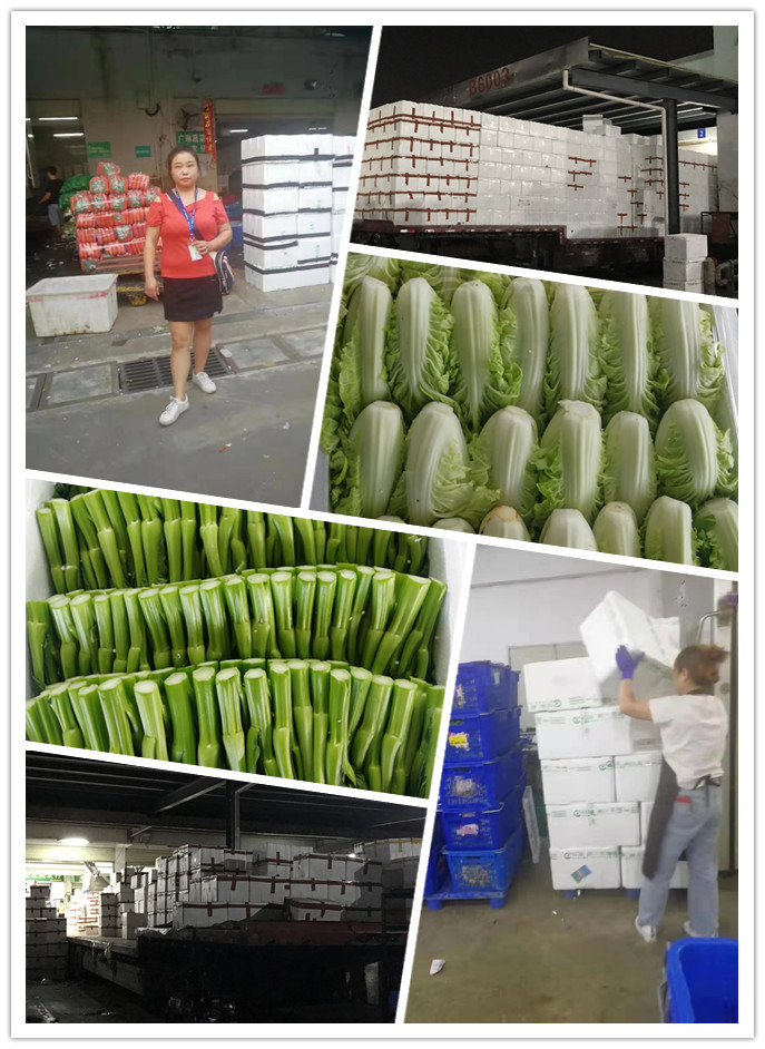 欧宝OB(中国集团)有限公司官网