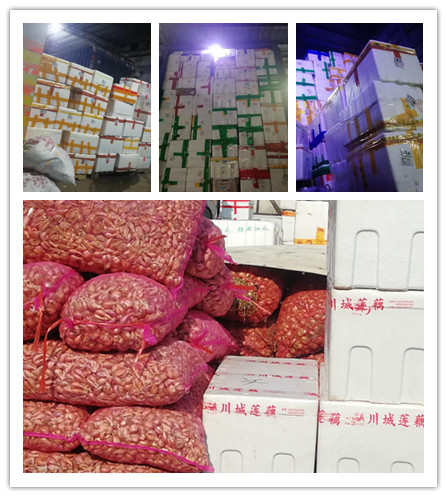 欧宝OB(中国集团)有限公司官网