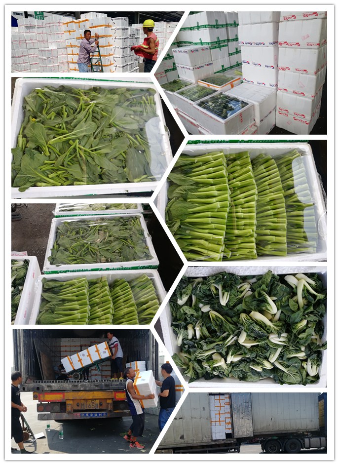 欧宝OB(中国集团)有限公司官网