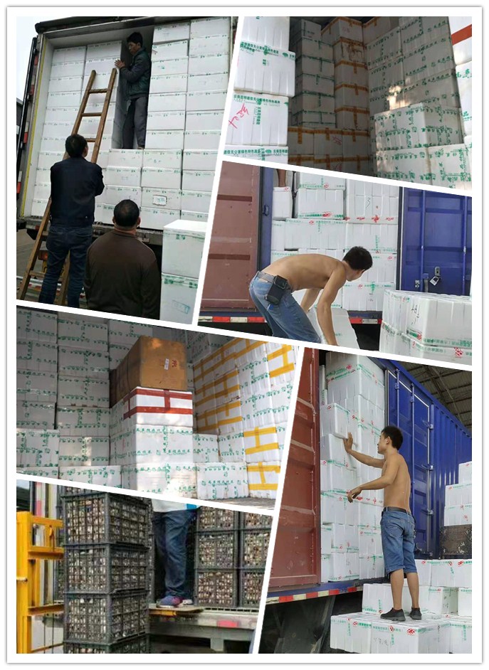 欧宝OB(中国集团)有限公司官网