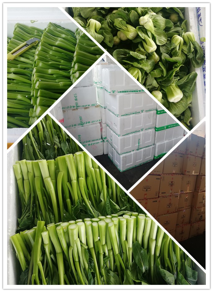 欧宝OB(中国集团)有限公司官网