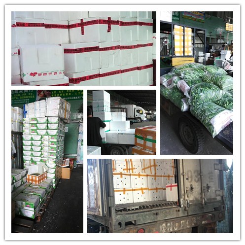 欧宝OB(中国集团)有限公司官网