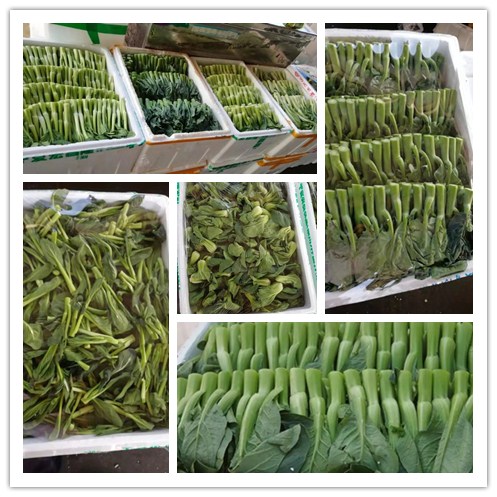 欧宝OB(中国集团)有限公司官网