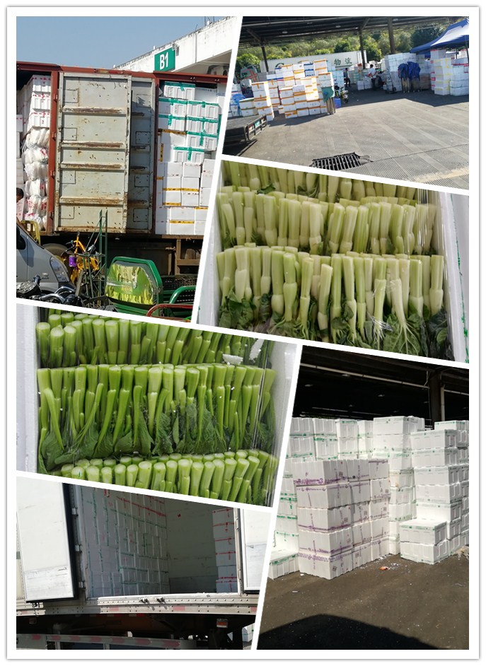 欧宝OB(中国集团)有限公司官网