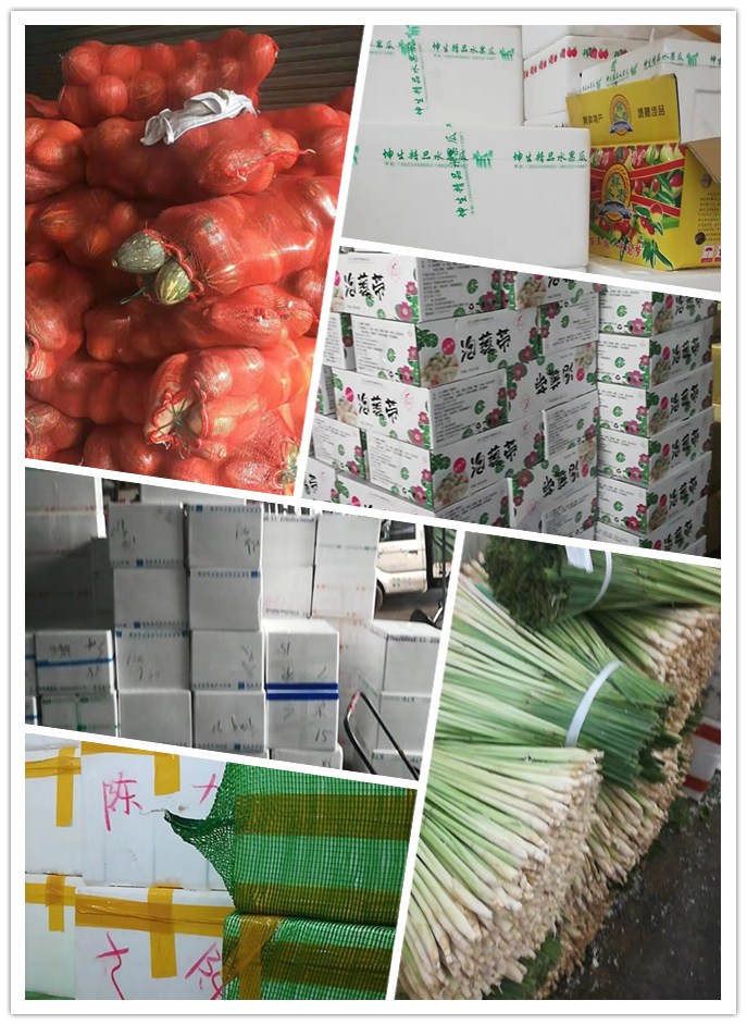 欧宝OB(中国集团)有限公司官网