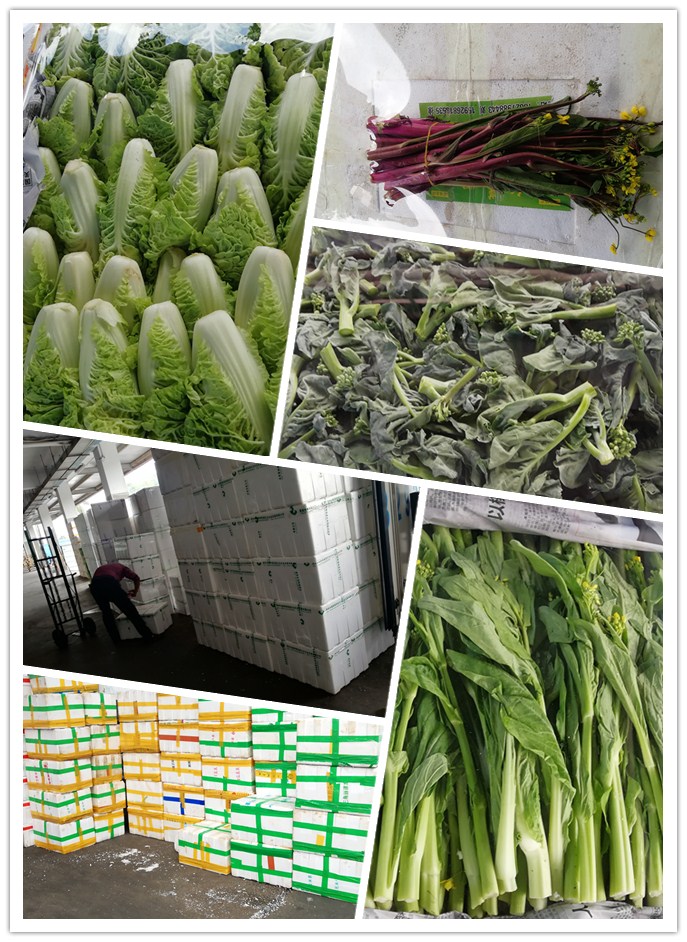 欧宝OB(中国集团)有限公司官网