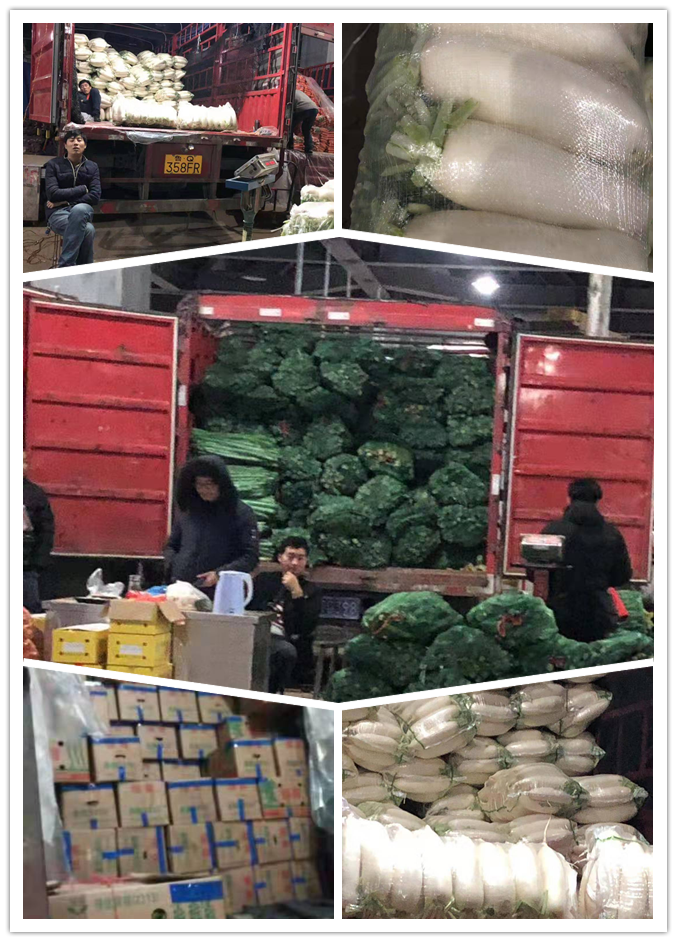 欧宝OB(中国集团)有限公司官网