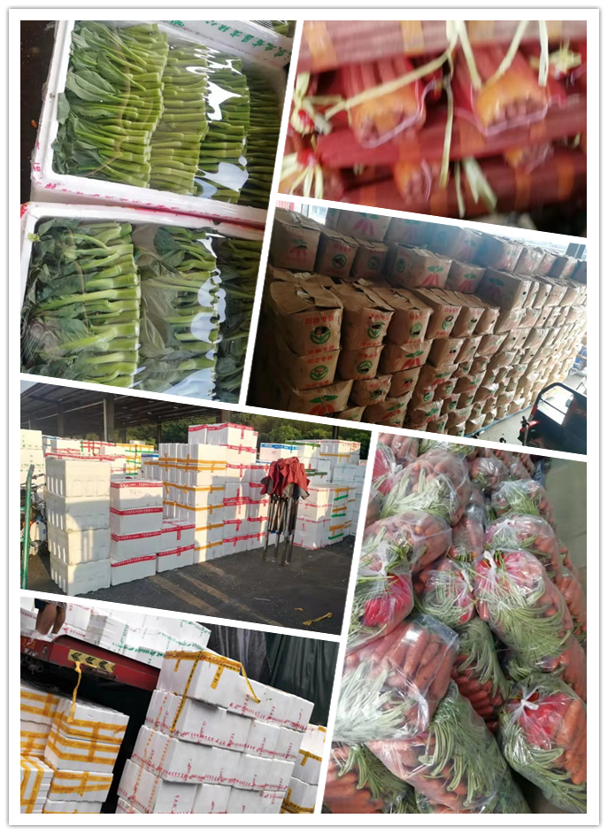 欧宝OB(中国集团)有限公司官网