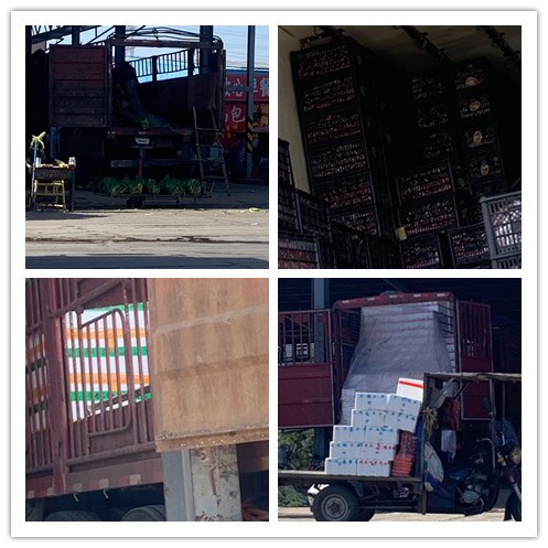 欧宝OB(中国集团)有限公司官网