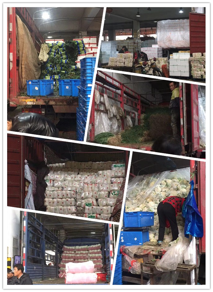 欧宝OB(中国集团)有限公司官网