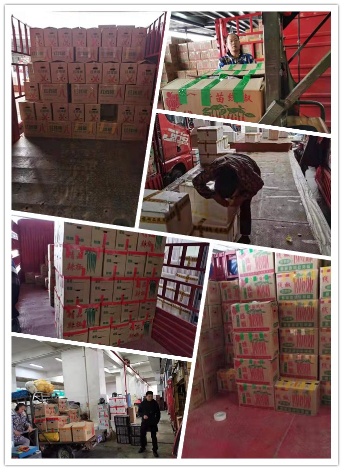 欧宝OB(中国集团)有限公司官网