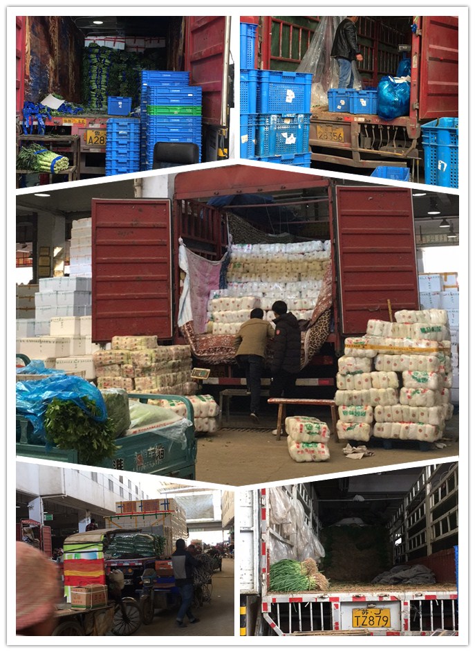 欧宝OB(中国集团)有限公司官网