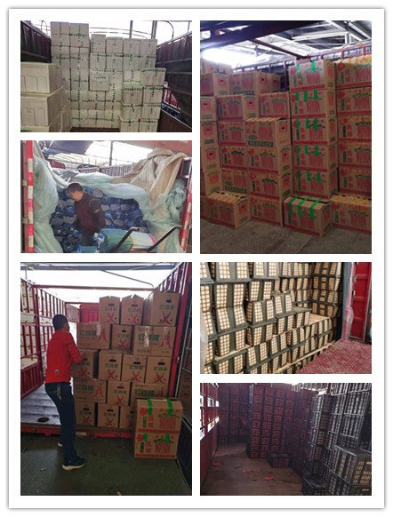 欧宝OB(中国集团)有限公司官网