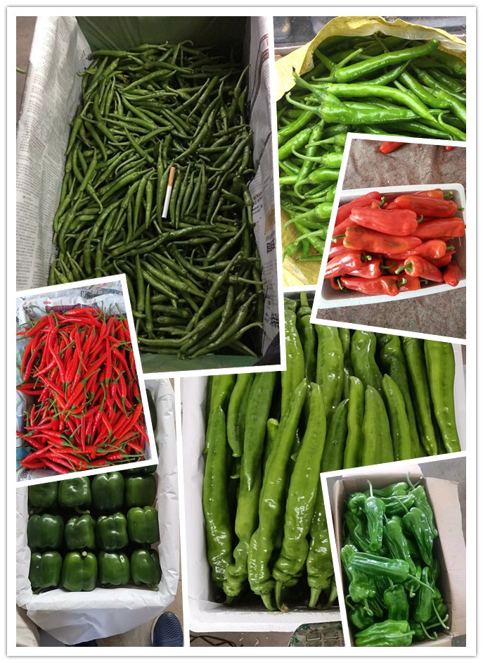 欧宝OB(中国集团)有限公司官网