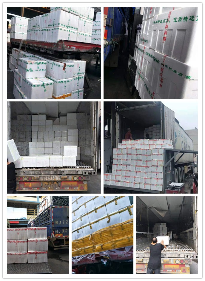 欧宝OB(中国集团)有限公司官网