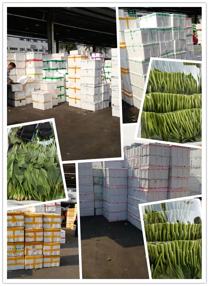 欧宝OB(中国集团)有限公司官网