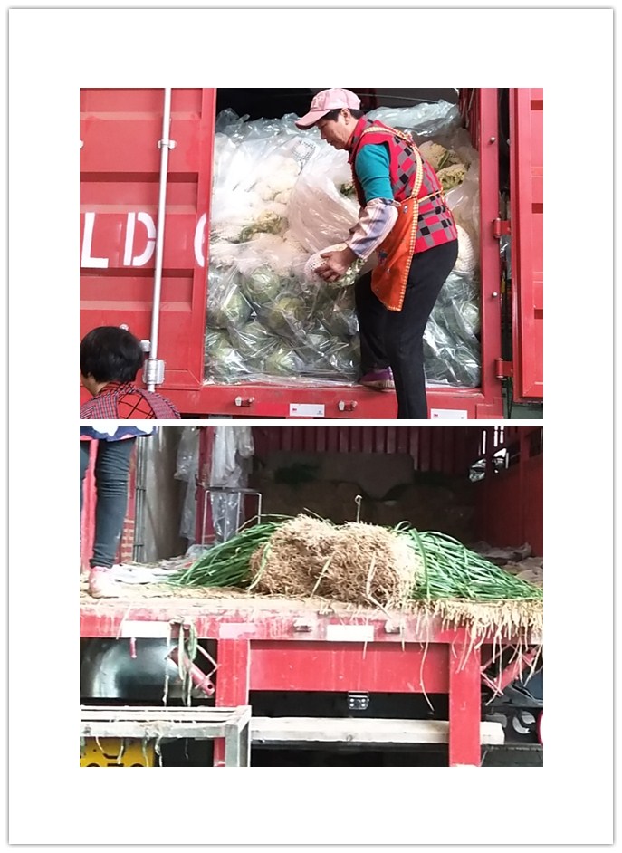 欧宝OB(中国集团)有限公司官网