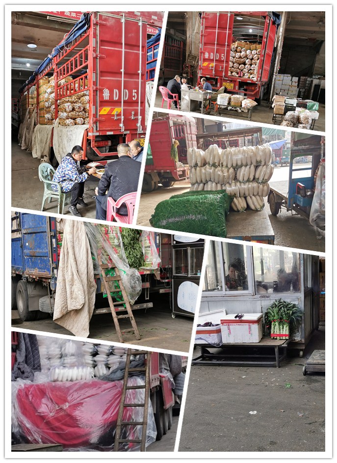 欧宝OB(中国集团)有限公司官网