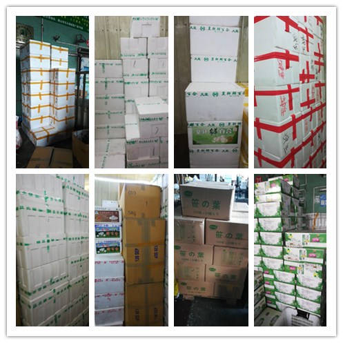 欧宝OB(中国集团)有限公司官网