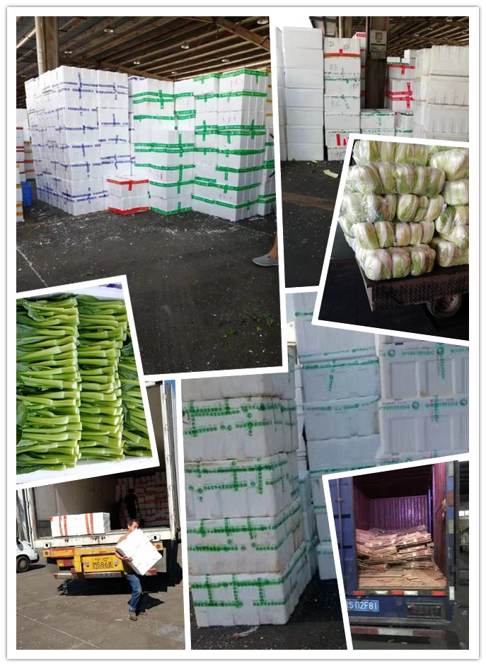 欧宝OB(中国集团)有限公司官网