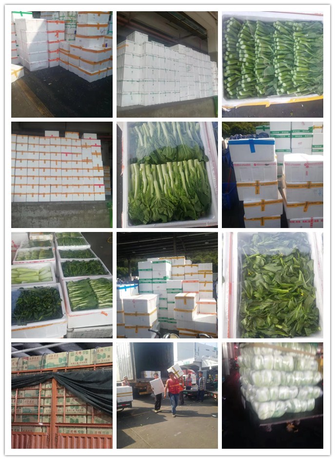 欧宝OB(中国集团)有限公司官网