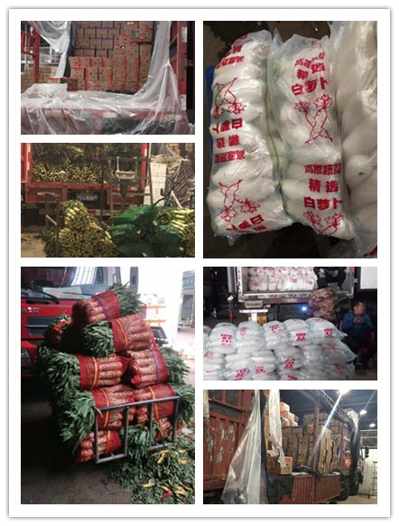 欧宝OB(中国集团)有限公司官网