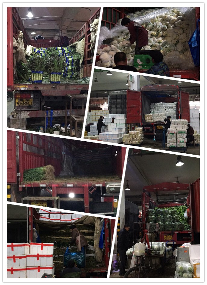 欧宝OB(中国集团)有限公司官网