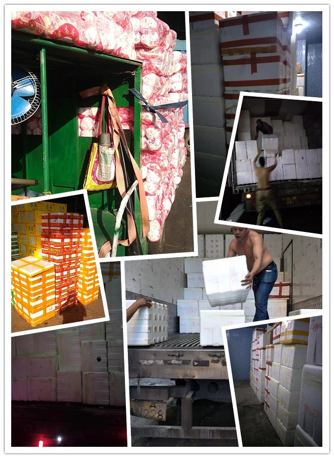 欧宝OB(中国集团)有限公司官网