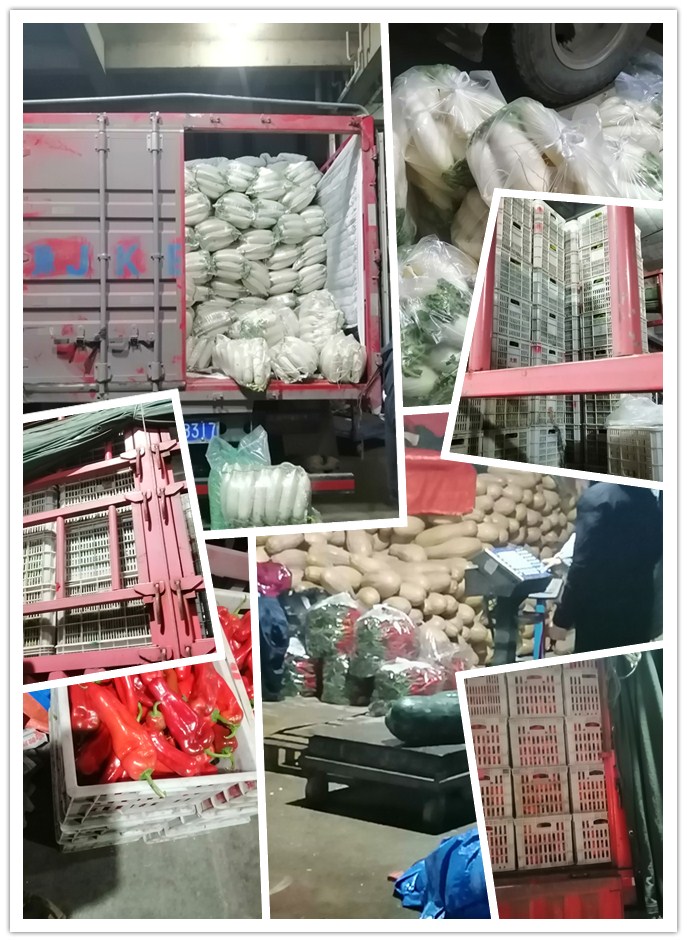 欧宝OB(中国集团)有限公司官网