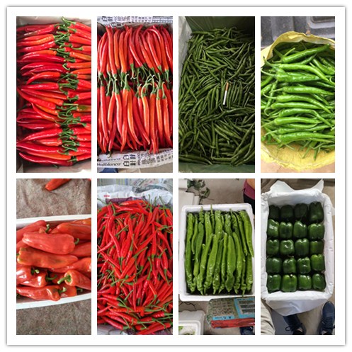 欧宝OB(中国集团)有限公司官网