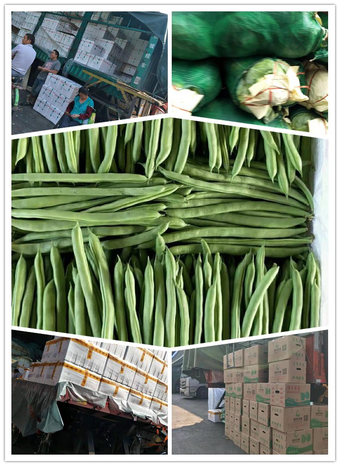 欧宝OB(中国集团)有限公司官网