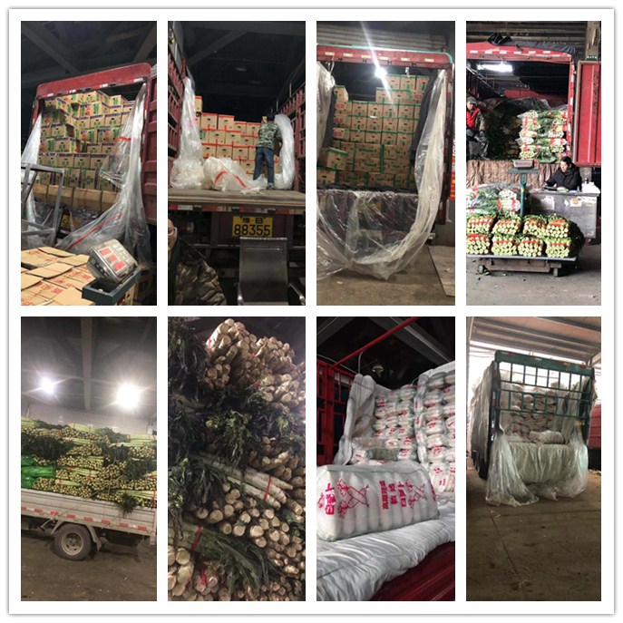 欧宝OB(中国集团)有限公司官网