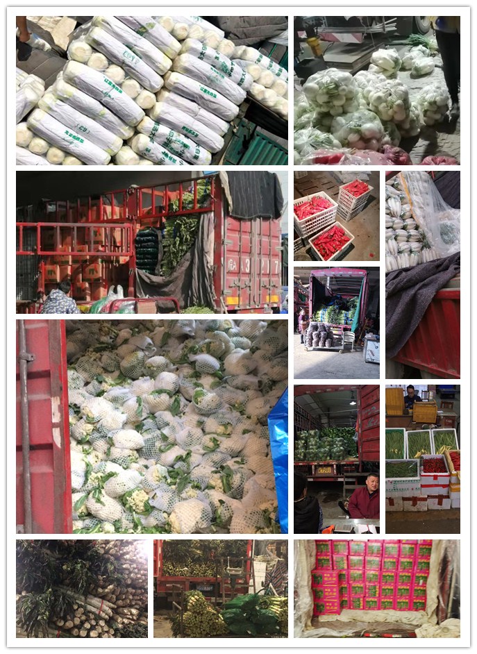 欧宝OB(中国集团)有限公司官网