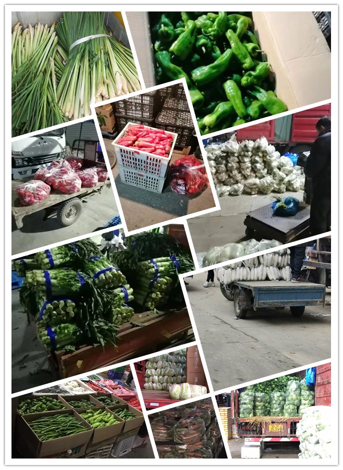 欧宝OB(中国集团)有限公司官网