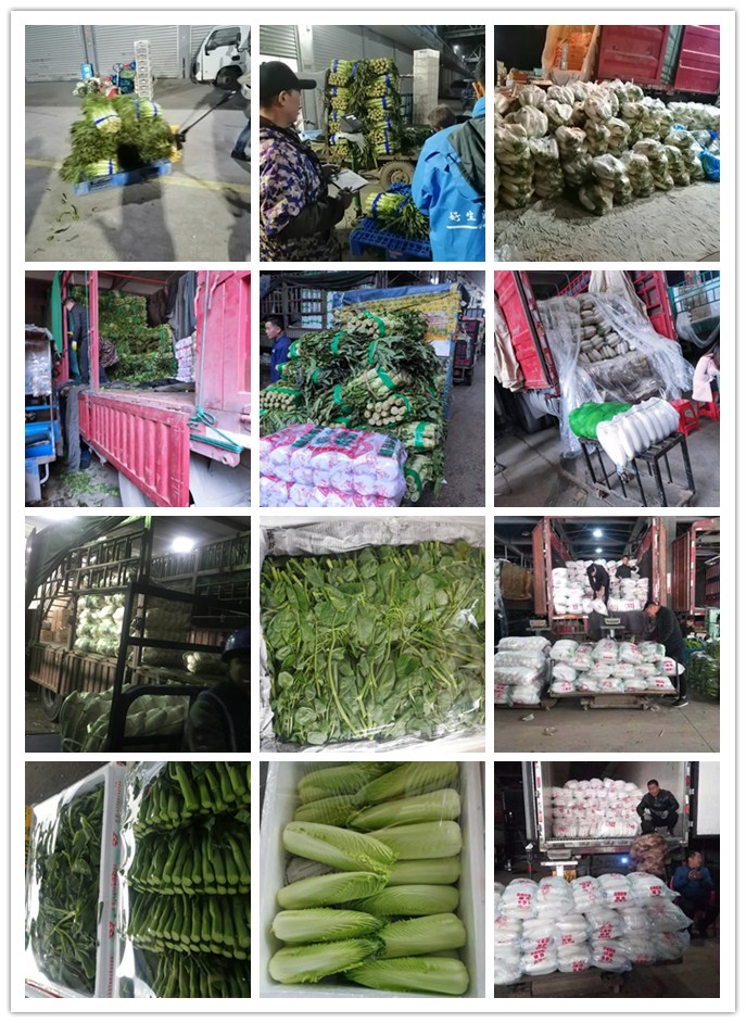 欧宝OB(中国集团)有限公司官网