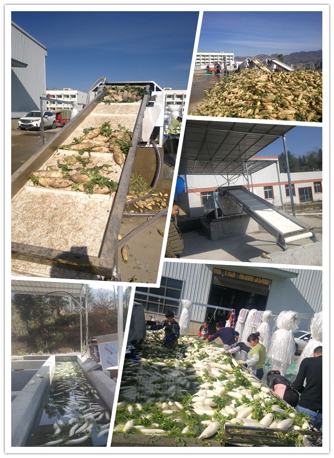 欧宝OB(中国集团)有限公司官网