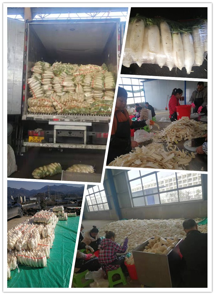 欧宝OB(中国集团)有限公司官网