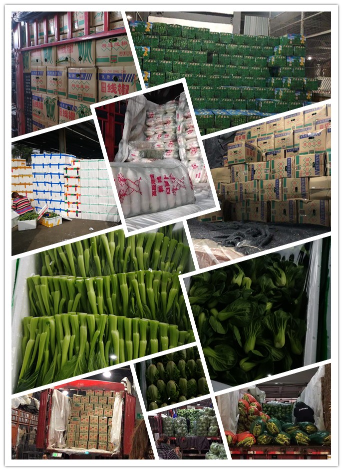 欧宝OB(中国集团)有限公司官网