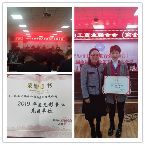 欧宝OB(中国集团)有限公司官网