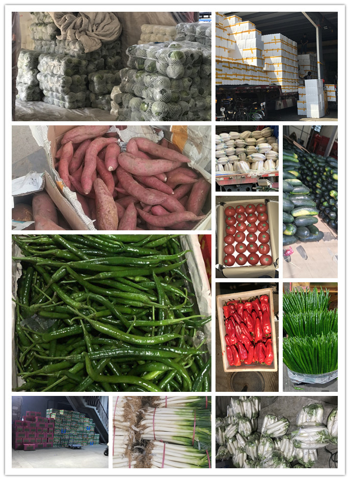 欧宝OB(中国集团)有限公司官网