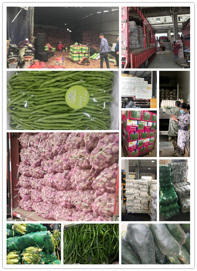 欧宝OB(中国集团)有限公司官网