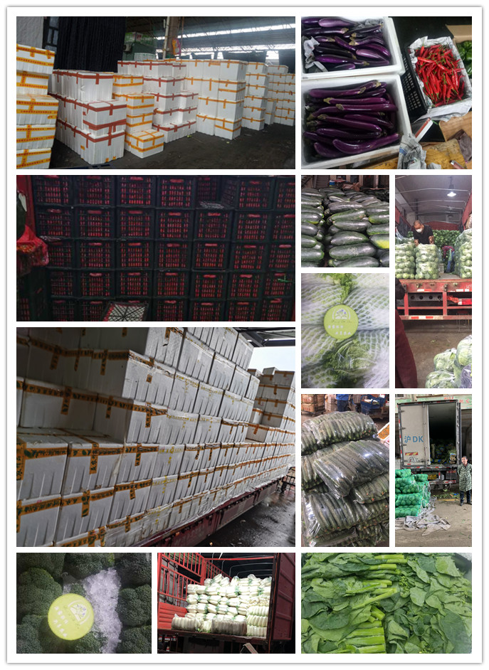 欧宝OB(中国集团)有限公司官网