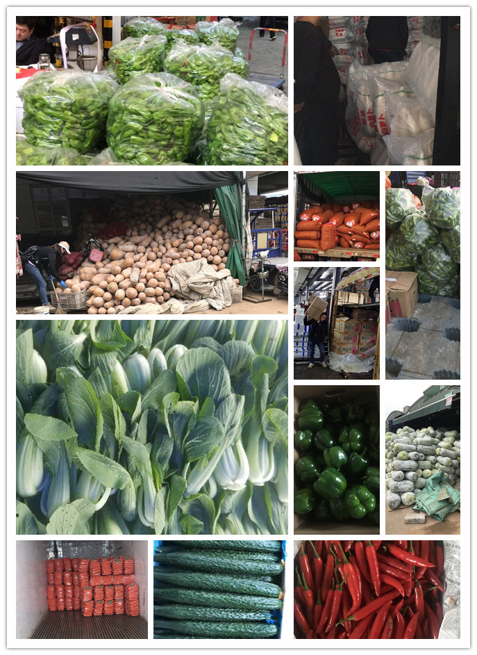 欧宝OB(中国集团)有限公司官网