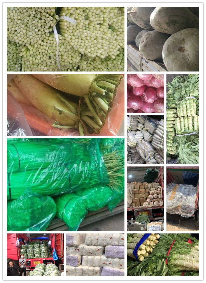 欧宝OB(中国集团)有限公司官网