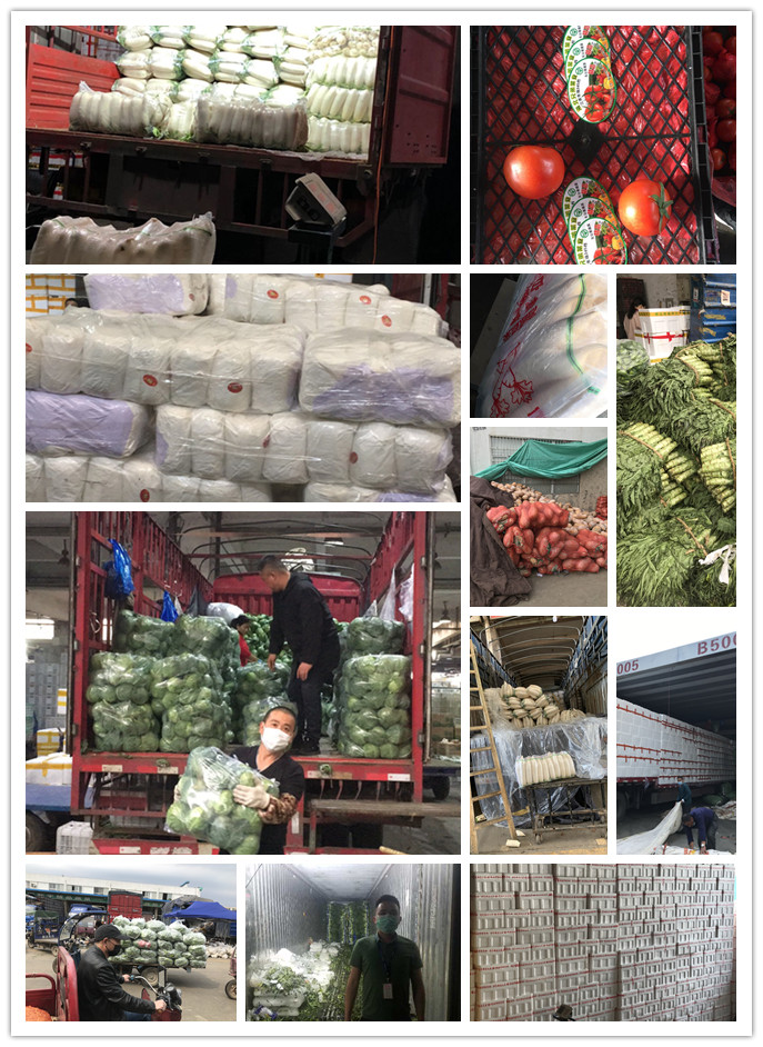 欧宝OB(中国集团)有限公司官网